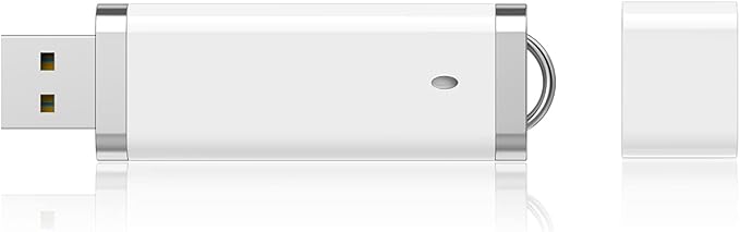 KEXIN 8 GB Flash Drive 10 Pack 8GB USB Flash Drive Thumb Drive Jump Drive Pen Drive Memory Stick 10 Pack White