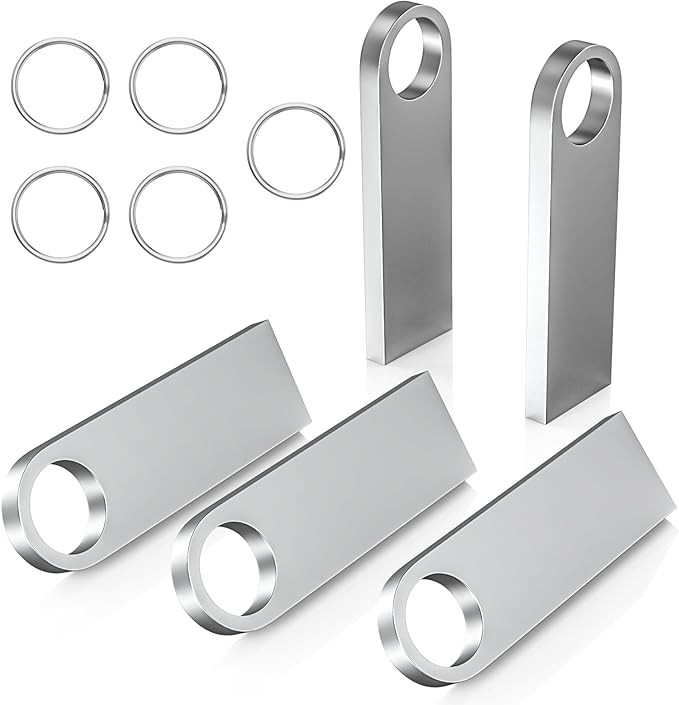 ABLAZE 64GB Flash Drive 5 Pack, Metal USB 2.0 Thumb Drives with Keychains USB Stick Pendrive (Sliver)