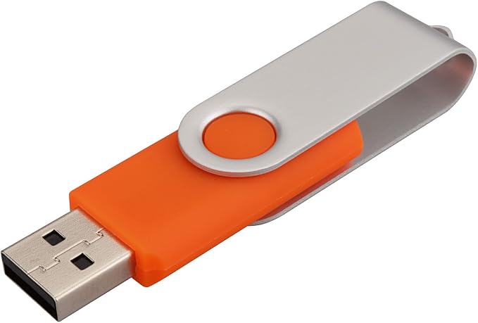 10 Pack 16GB USB Flah Drive USB 2.0 Memory Stick-Orange
