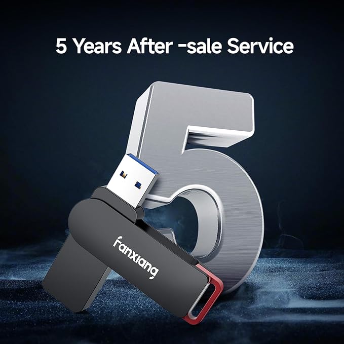 2 Pack 256GB USB Flash Drive, Metal Thumb Drives, USB 3.2 Up to 200MB/s Type A Memory Stick for Storage and Backup, F309