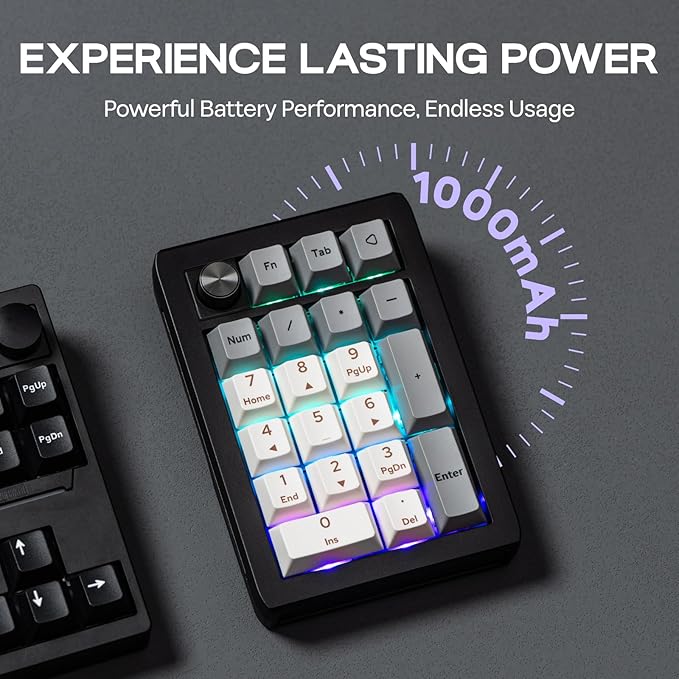 EPOMAKER EK21 VIA Gasket Number Pad with 1000mAh Battery, BT 5.0/2.4GHz/Wired Hot-Swap Numpad with Aluminum Alloy knob, Programmable for Win/Mac/Gaming (Black Silver, Wisteria V2 Switch)