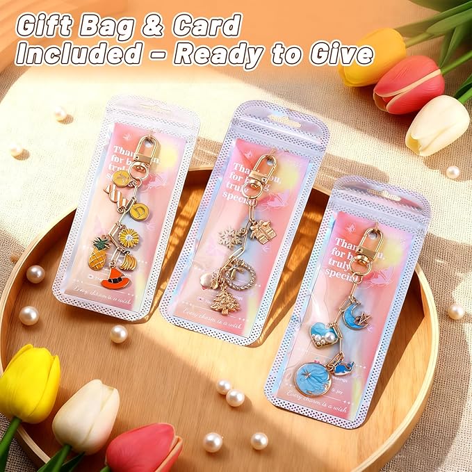 Wurosi 25 Set Paperclip Keychain Making Kit, Bag Charm Kit, 25 Keychain Clips, 25 Extender Chain, 25 Resealable Pouch Bag, 25 Thank You Cards, 5M Hemp Rope, Jewelry Making Kit for DIY Keyrings Charms
