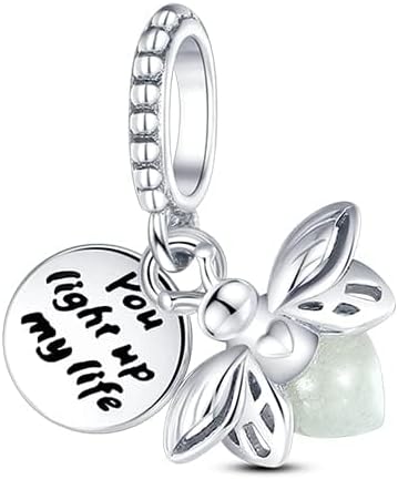 LIGHTDOG 925 Sterling Silver Charm fits Pandora Charm Bracelet Necklaces Pendant Bead Charms Jewelry Gift for Women Family Friends