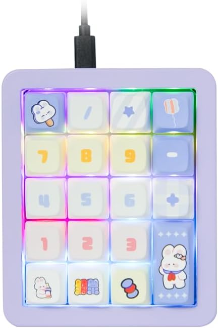 Adventurers K812 Wired Mechanical Numeric Keypad, 19-Key Hot-Swappable RGB Numpad, Macro Programmable, Detachable Type-C Cable, Game/Office Mode Switch – for PC/Laptop/Desktop (Purple)