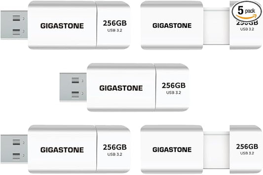 GIGASTONE 256GB Flash Drive (5 Pack) Z60 USB 3.2 Gen 1, 120MB/s Ultra Fast, Retractable Capless Slider Design, Data Storage, Backup for PC/Mac/TV/Car Audio, USB 2.0/3.0/3.1 Compatible