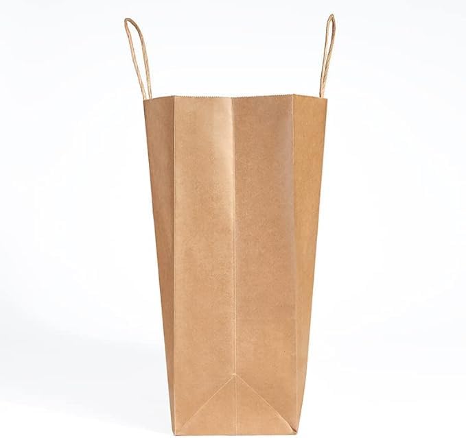 PAICUIKE 70Pcs Large Brown Paper Bags with Handles, 13x7x13 Inch Gift Bags for Business, Shopping, Party, Wedding & Birthday | Natural Brown Kraft Bags for Retail, Merchandise & Events