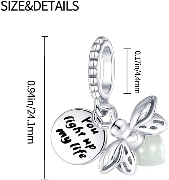 LIGHTDOG 925 Sterling Silver Charm fits Pandora Charm Bracelet Necklaces Pendant Bead Charms Jewelry Gift for Women Family Friends