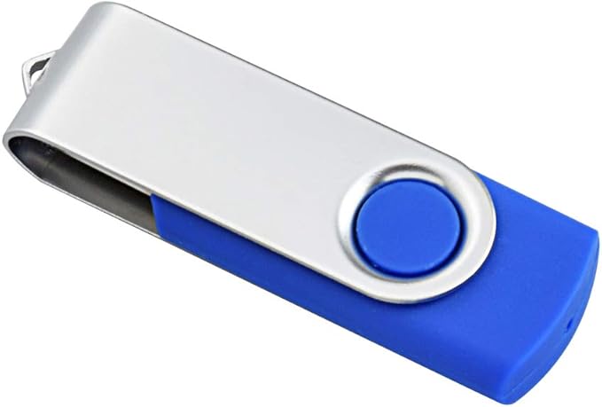 Aiibe 10 Pack 4GB 4G Flash Drive USB Flash Drive Thumb Drives USB 2.0 Memory Stick Wholesale/Lot/Bulk (4GB, 10 Pack, Blue)