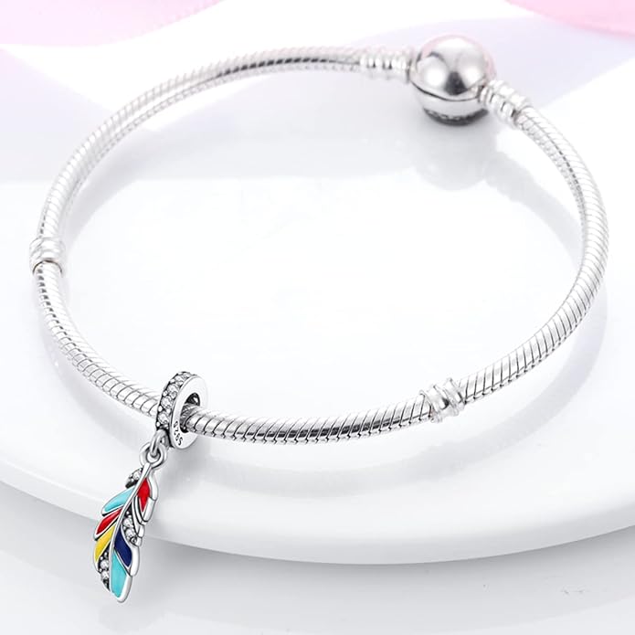 MULA 925 Sterling Silver Charms for Bracelets and Necklaces Airplane Passport Dangle Pendants Beads Butterfly Dragonfly Charms Jewelry Charm for Women
