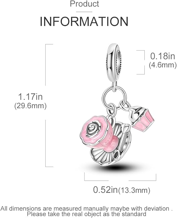 MULA 925 Sterling Silver Charms for Bracelets and Necklaces Airplane Passport Dangle Pendants Beads Butterfly Dragonfly Charms Jewelry Charm for Women