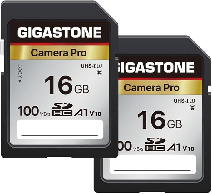 [5-Yrs Free Data Recovery] GIGASTONE 16GB SD Card 2-Pack, Camera Pro, A1 V10 SDHC Memory Card Compatible with SPYPOINT TACTACAM Trail Camera, with 2 Mini Cases.
