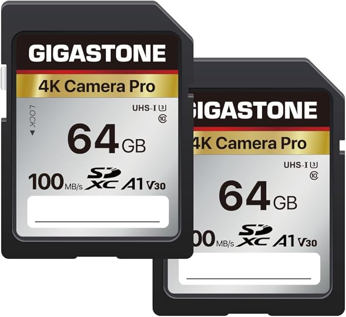 [5-Yrs Free Data Recovery] GIGASTONE 64GB SD Card 2-Pack, 4K Camera Pro, A1 V30 SDXC Memory Card 4K UHD Video Compatible with Canon Digital Camera, with 2 Mini Cases