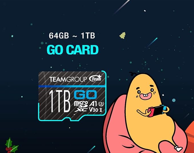 TEAMGROUP GO Card 128GB x 2 Pack Micro SDXC UHS-I U3 V30 4K for GoPro & Action Cameras High Speed Flash Memory Card with Adapter for Outdoor, Sports, 4K Shooting TGUSDX128GU364