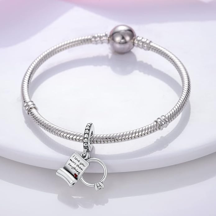 MULA 925 Sterling Silver Charms for Bracelets and Necklaces Airplane Passport Dangle Pendants Beads Butterfly Dragonfly Charms Jewelry Charm for Women