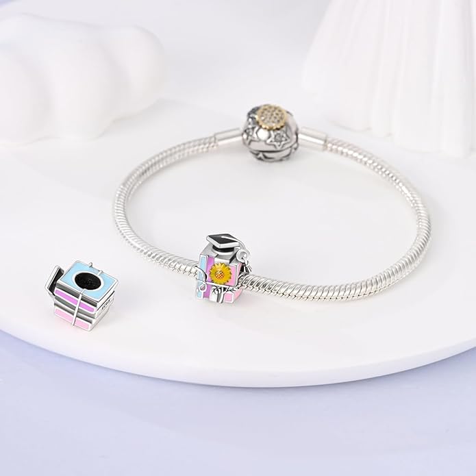 MULA 925 Sterling Silver Charms for Bracelets and Necklaces Airplane Passport Dangle Pendants Beads Butterfly Dragonfly Charms Jewelry Charm for Women