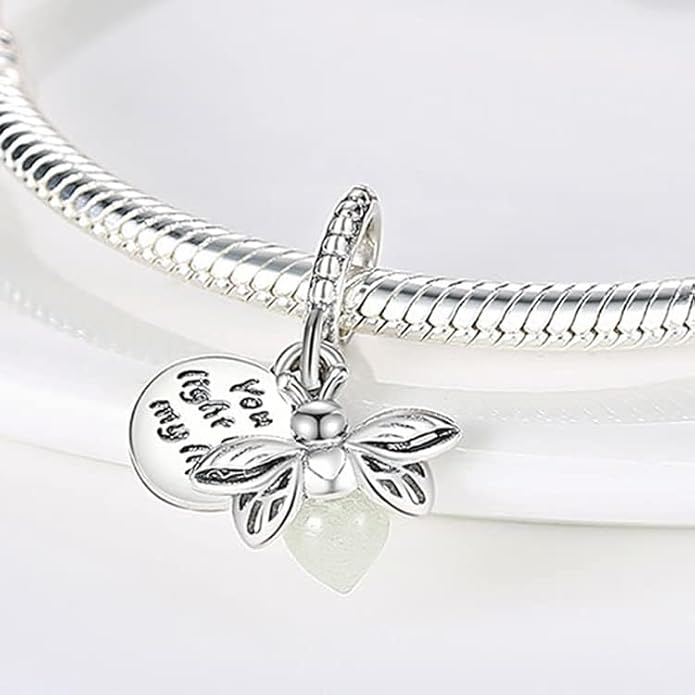 LIGHTDOG 925 Sterling Silver Charm fits Pandora Charm Bracelet Necklaces Pendant Bead Charms Jewelry Gift for Women Family Friends
