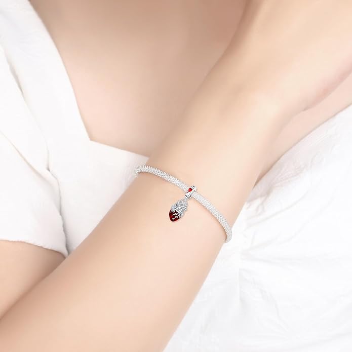 925 Sterling Silver Charms for Bracelets and Necklaces Charms for Women Fashion Jewelry for Women Friend and Mother
