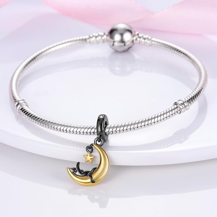 925 sterling silver bracelet necklace pendant, women's jewelry, a charming pendant suitable for matching the original bracelet, perfect for parties, birthdays, and as a jewelry gift