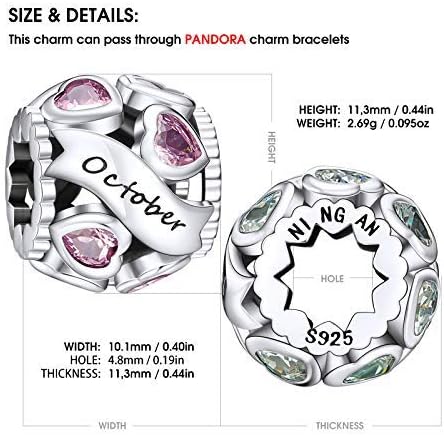 NINGAN Birthstone Charms 925 Sterling Silver Love Heart Openwork Bead for Charm Bracelets and Necklaces with 5A Cubic Zirconia, Birthday Mothers Day Jewelry Gifts Women