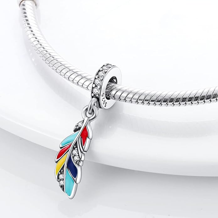 MULA 925 Sterling Silver Charms for Bracelets and Necklaces Airplane Passport Dangle Pendants Beads Butterfly Dragonfly Charms Jewelry Charm for Women