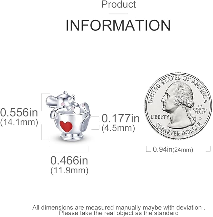 MULA 925 Sterling Silver Charms for Bracelets and Necklaces Airplane Passport Dangle Pendants Beads Butterfly Dragonfly Charms Jewelry Charm for Women