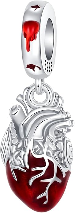 925 Sterling Silver Charms for Bracelets and Necklaces Charms for Women Fashion Jewelry for Women Friend and Mother