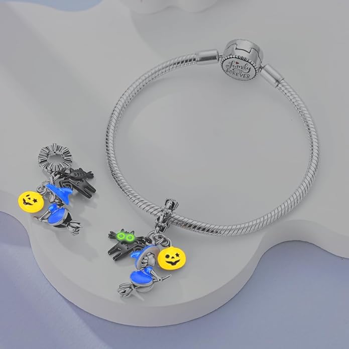 MULA 925 Sterling Silver Charms for Bracelets and Necklaces Airplane Passport Dangle Pendants Beads Butterfly Dragonfly Charms Jewelry Charm for Women