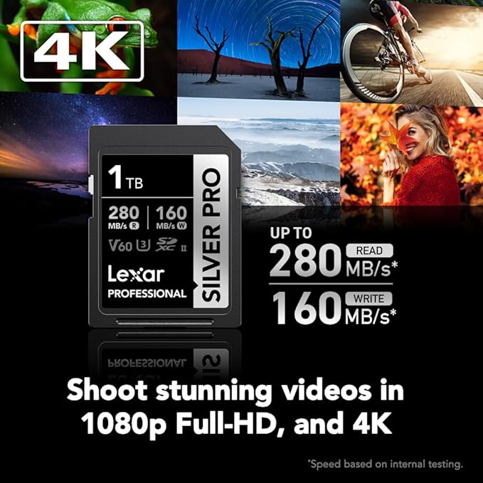 Lexar 1TB Professional Silver PRO SD Card, UHS-II, C10, U3, V60, Full HD, 4K, Up To 280MB/s Read SDXC Memory Card, For Professional Photographer, Videographer, Enthusiast (LSDSIPR001T-BNNNG)