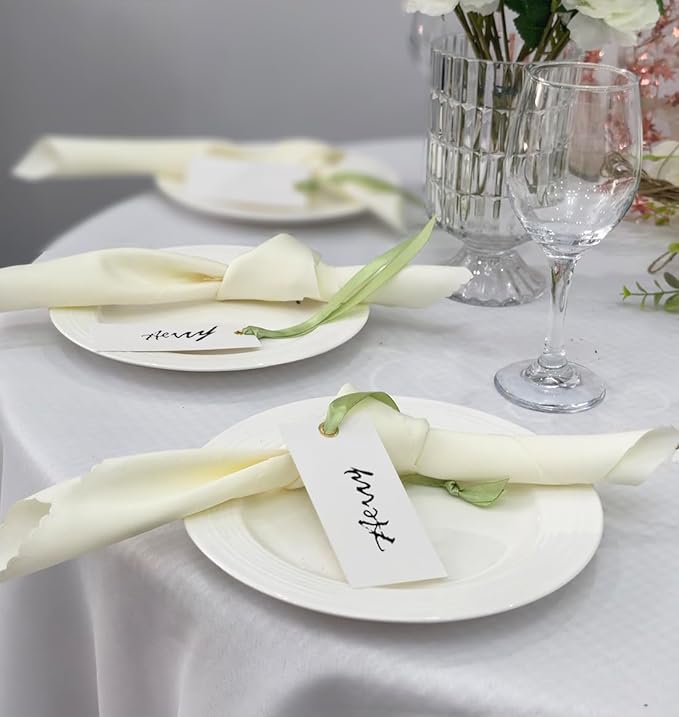 25 Pcs Name Place Cards Blank Seat Card, 2 x 4 in Table Cards with Stain Ribbon, Wedding Place Card, Hanging Tags for Wedding table Setting Reserved Chairs Signs Dinner Banquet Parties.(Sage Green)