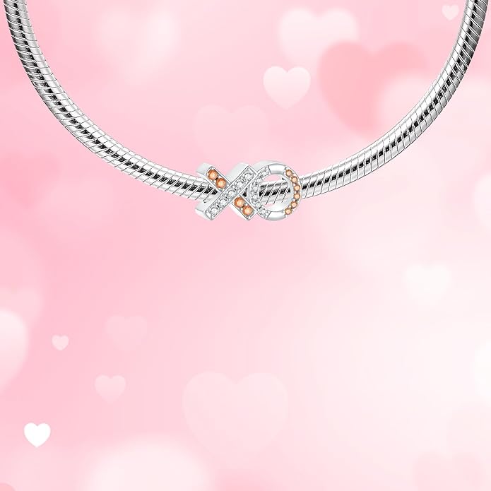 925 Sterling Silver Charms for Bracelets and Necklaces Charms for Women Fashion Jewelry for Women Friend and Mother