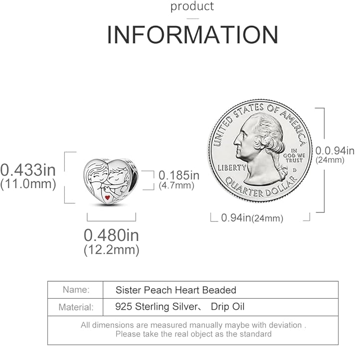 MULA 925 Sterling Silver Charms for Bracelets and Necklaces Family Letters Dangle Pendants Airplane Travel Beads Family Tree Jewelry Charms for Women
