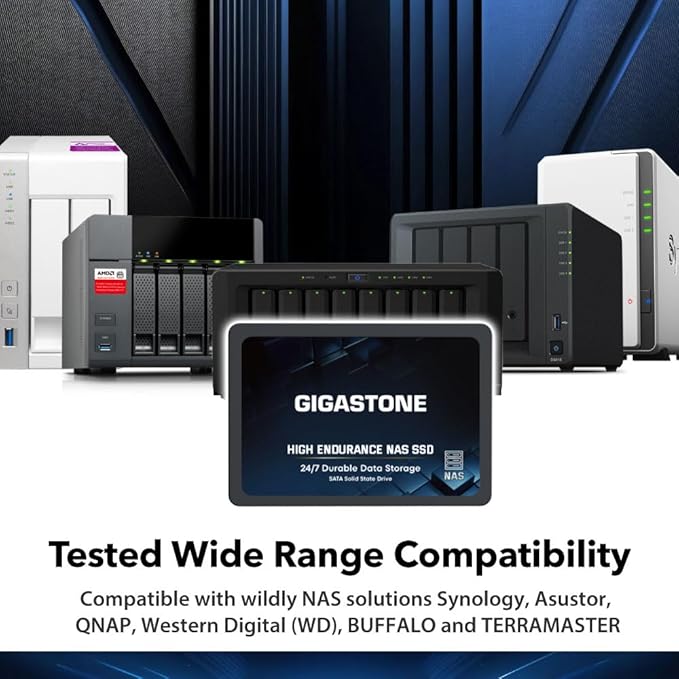 Gigastone 2TB NAS SSD Drive (24-Pack) 24/7 Durable TLC High Endurance RAID Data Storage Network Attached Storage 2.5" SATA Internal Solid State Hard Drives
