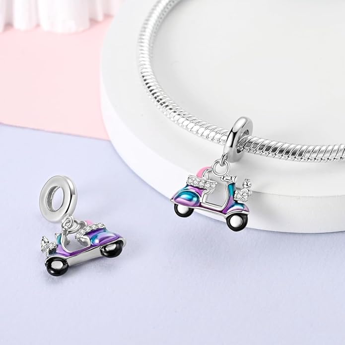 MULA 925 Sterling Silver Charms for Bracelets and Necklaces Airplane Passport Dangle Pendants Beads Butterfly Dragonfly Charms Jewelry Charm for Women