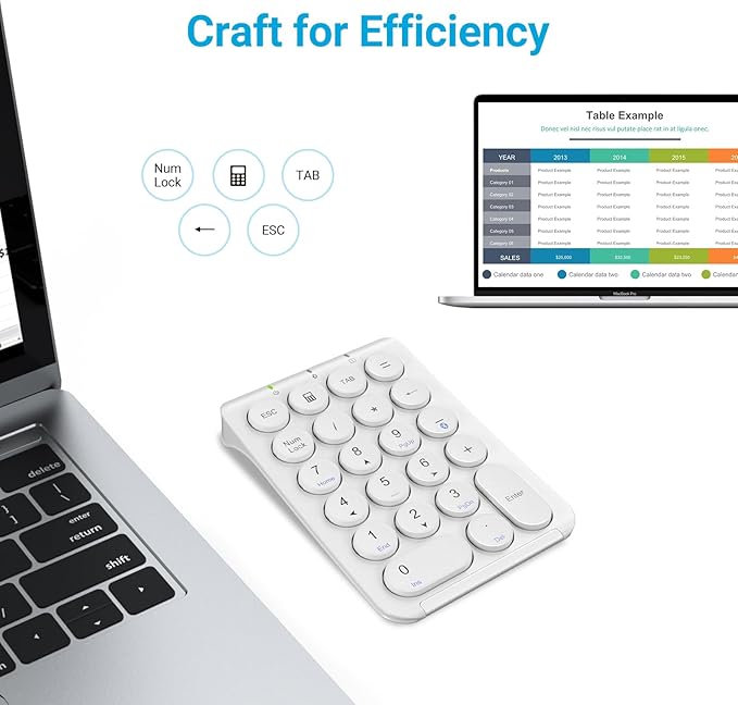 iClever Number Pad, KP08 Bluetooth Number Pad, Ultra Slim and Lightweight, USB-C Charge, Number Pad for Laptop, iPad, Mac, iMac, Tablet, PC Desktop