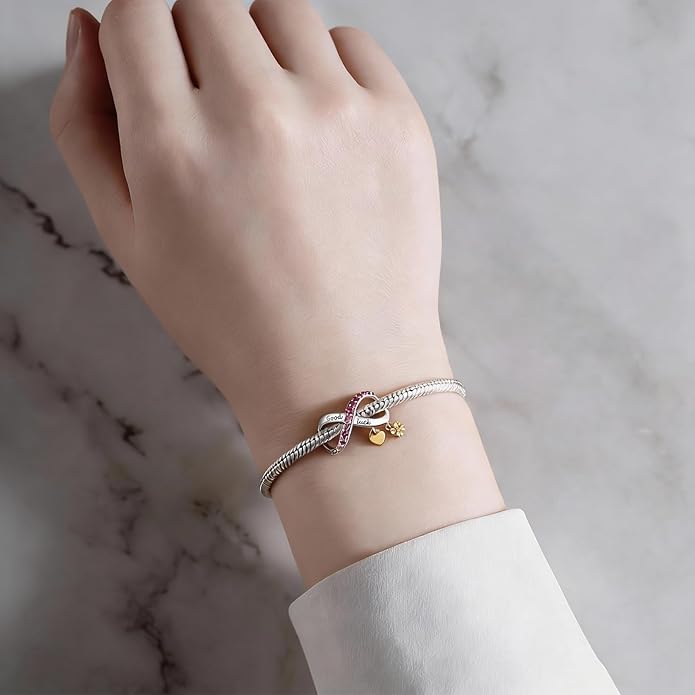 Charm Beads for Women, S925 Sterling Silver Dangle Charm Beads for European Charm Bracelet & Snake Chain Bracelets, Love Family Friendship Butterfly Pet Flower Designs, Gift Box Included