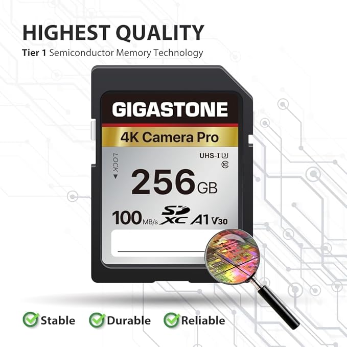 [5-Yrs Free Data Recovery] GIGASTONE 256GB SD Card with USB Type C Card Reader, 4K Camera Pro, A1 V30 U3 SDXC Memory Card Compatible with Canon Digital Camera, with 1 Mini case