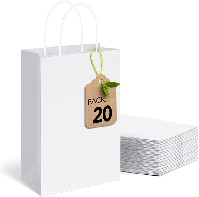 MESHA Gift Paper Bags 20Pcs 5.25x3.75x8 Inch White Small Shopping Kraft Bags Bulk with Handles Reusable for Business Grocery Birthday Wedding Kids Party Favors(Made in USA)