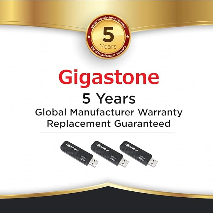 GIGASTONE V30 32GB USB 2.0 Flash Drive 2-Pack, Capless Retractable Design Pen Drive, Carbon Fiber Style, Reliable Performance & Durable