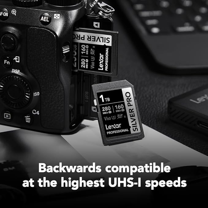 Lexar 1TB Professional Silver PRO SD Card, UHS-II, C10, U3, V60, Full HD, 4K, Up To 280MB/s Read SDXC Memory Card, For Professional Photographer, Videographer, Enthusiast (LSDSIPR001T-BNNNG)