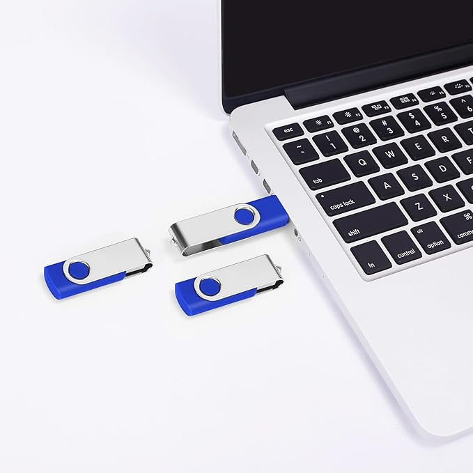 1GB Bulk Flash Drives 50 Pack, EASTBULL USB 2.0 Metal Flash Drive Bulk Swivel Thumb Drives Pack (Blue)