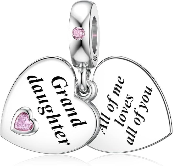 JIAYIQI Mother Sister Daughter Wife Charms Fit Charms Bracelet Necklace with Double Heart Love Charms 925 Sterling Silver Beads for Women Jewelry