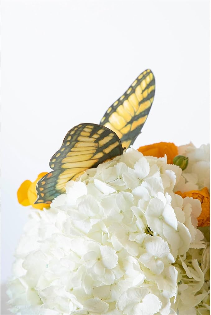 Hester & Cook Table Accent Place Cards - Dinner Name Cards for Table Setting Set of 12 - Made in USA (Butterfly)