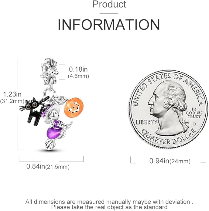 MULA 925 Sterling Silver Charms for Bracelets and Necklaces Airplane Passport Dangle Pendants Beads Butterfly Dragonfly Charms Jewelry Charm for Women