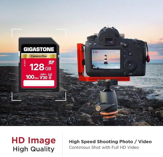 GIGASTONE 128GB SD Card 10-Pack, Camera Plus, V30 U3 SDXC Memory Card High Speed UHD Video Compatible with Canon Digital Camera, with 10 Mini case