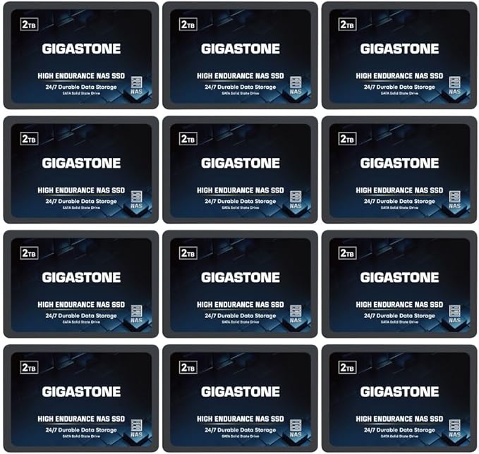 Gigastone 2TB NAS SSD Drive (12-Pack) 24/7 Durable TLC High Endurance RAID Data Storage Network Attached Storage 2.5" SATA Internal Solid State Hard Drives
