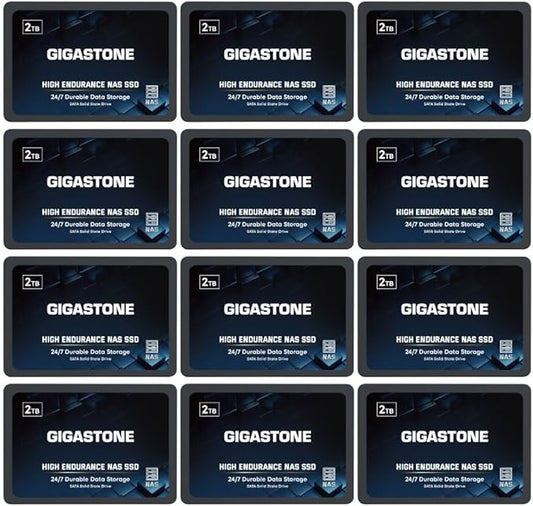 Gigastone 2TB NAS SSD Drive (12-Pack) 24/7 Durable TLC High Endurance RAID Data Storage Network Attached Storage 2.5" SATA Internal Solid State Hard Drives