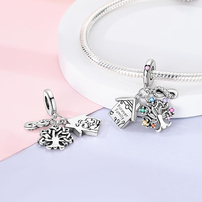 MULA 925 Sterling Silver Charms for Bracelets and Necklaces Airplane Passport Dangle Pendants Beads Butterfly Dragonfly Charms Jewelry Charm for Women