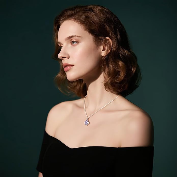 Iefil Valentines Day Gifts for Her - 925 Sterling Silver Birthstone Clover Necklace for Women, Anniversary Birthday Gifts for Wife Girlfriend Mom Daughter
