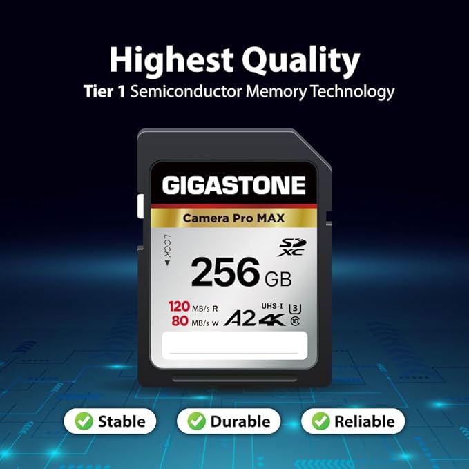 [5-Yrs Free Data Recovery] GIGASTONE 256GB 2-Pack SD Card, 4K Camera Pro MAX, A2 4K SDXC Memory Card High Speed 4K UHD Video Compatible with Canon Kodak Digital Camera, with 2 Mini case