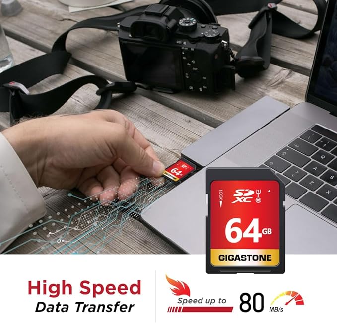 GIGASTONE 64GB SD Card 10-Pack UHS-I U1 Class 10 SDXC Memory Card High Speed Full HD Video Canon Olympus Digital Camera with 10 Mini Cases